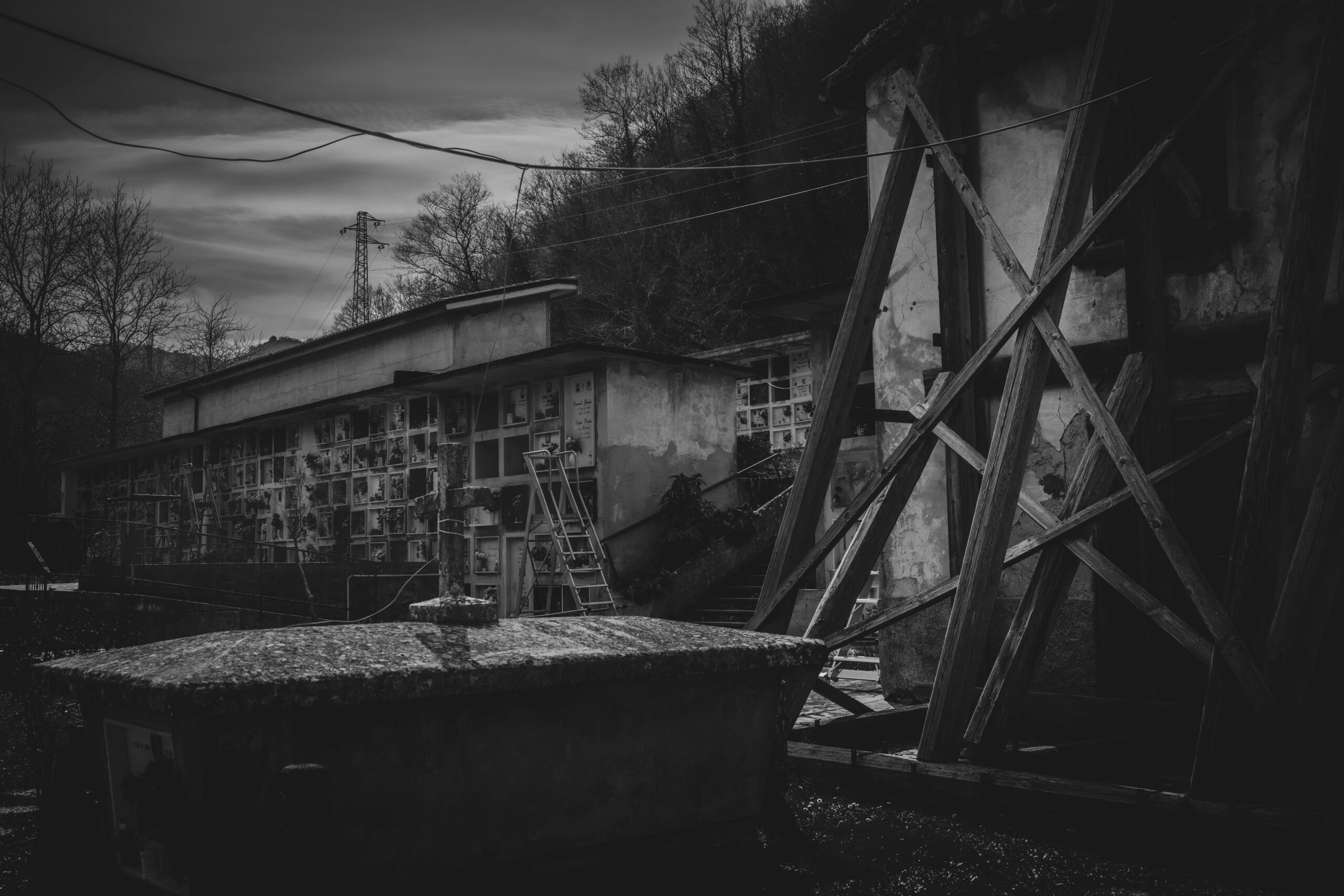 Marche 2025-3511-min