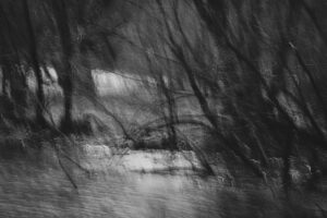 Marche 2025-3607-min